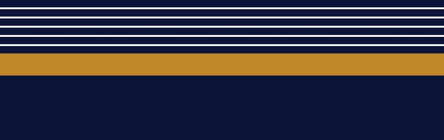 Navy and Gold Colorblock Small Swim