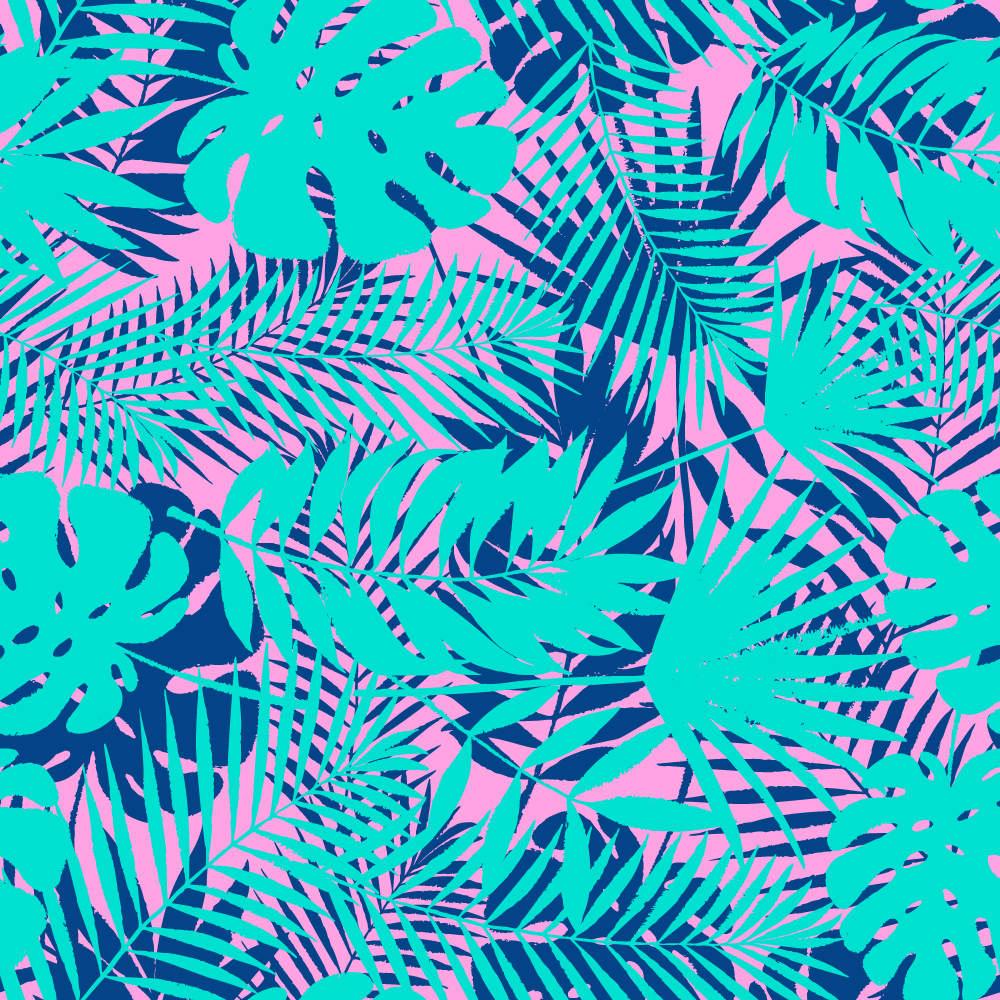 Miami Palms BFT