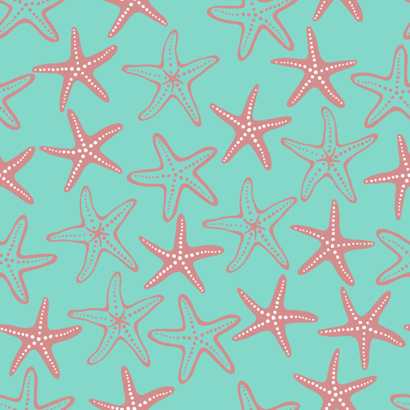 24DS Starfish