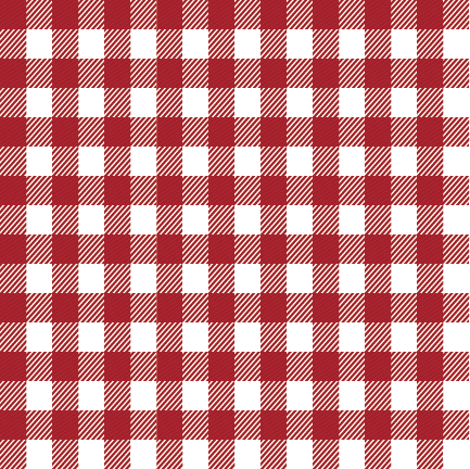 Red Gingham Woven