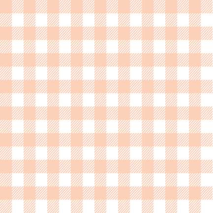 Coral Gingham Coord CS